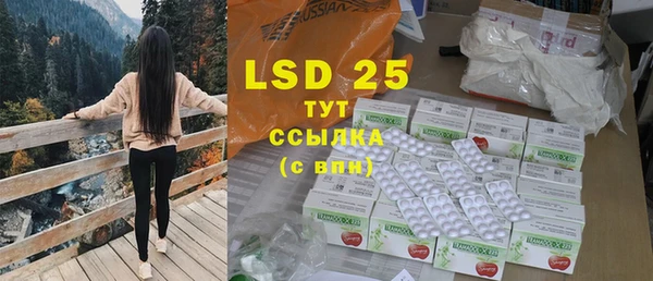PSILOCYBIN Аркадак